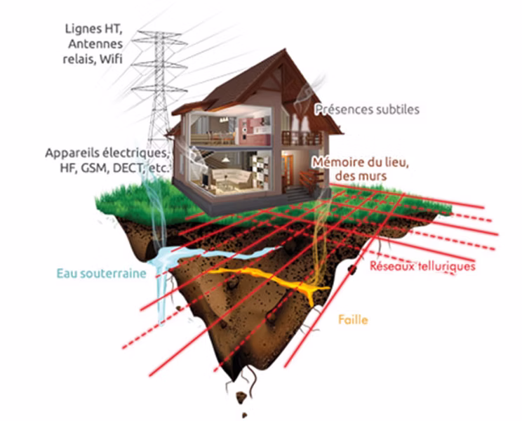 geobiologie